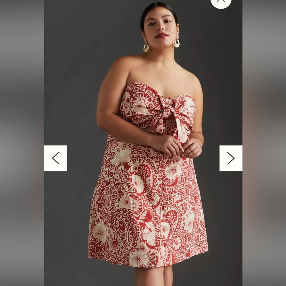 Anthropologie button-up mini dress